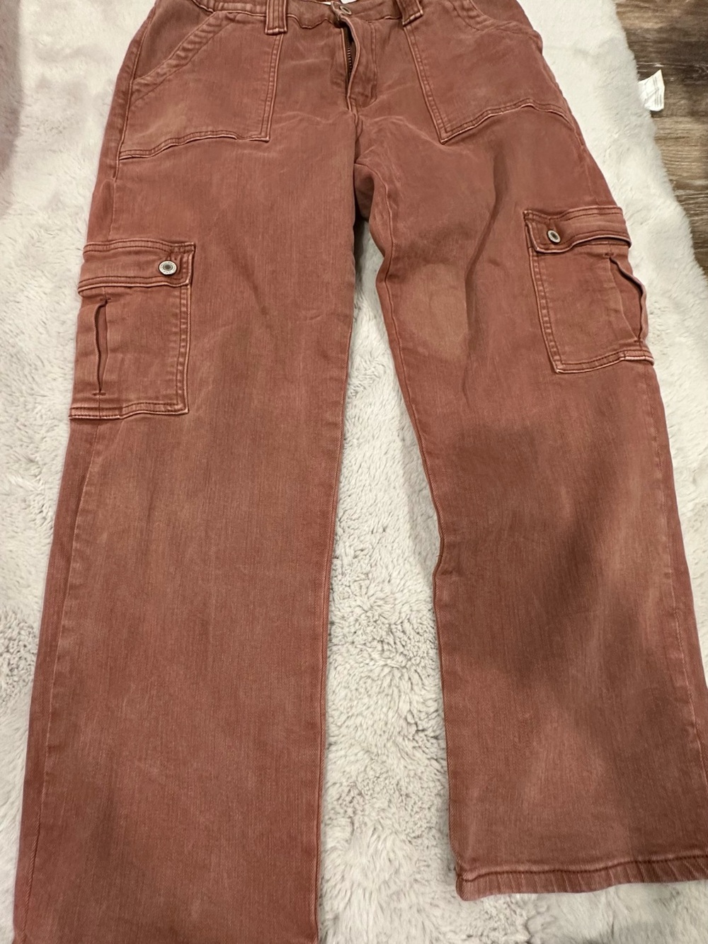 Vervet Rust Cargo Pants 31